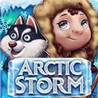Arctic Storm game screenshot