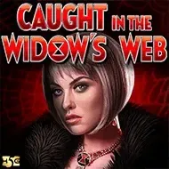 Caught in the Widow's Web game icon